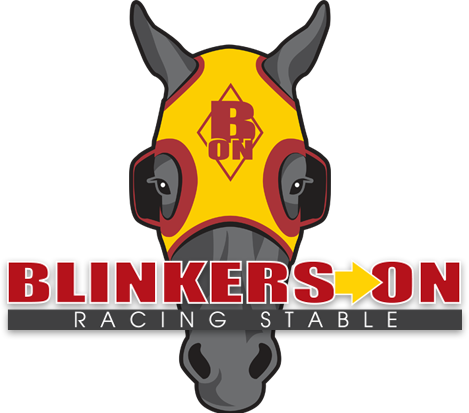 Blinkers on Horse Racing Partnerships