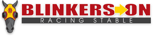 Blinkers On Horse Racing Partnerships